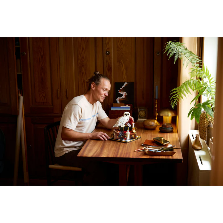 Sorcerer's Stone – Collectors' Edition - Image 3